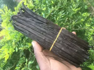 How to use Vanilla effectively; Buy the best Vanilla Beans, Make your own Vanilla Extracts, Find Vanilla Recipes and Create your own Vanilla products