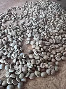 Uganda Coffee Beans on Table