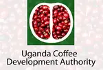 Uganda Coffee