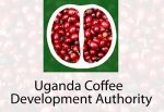 Uganda Coffee