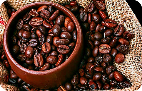 Uganda Coffee Tour