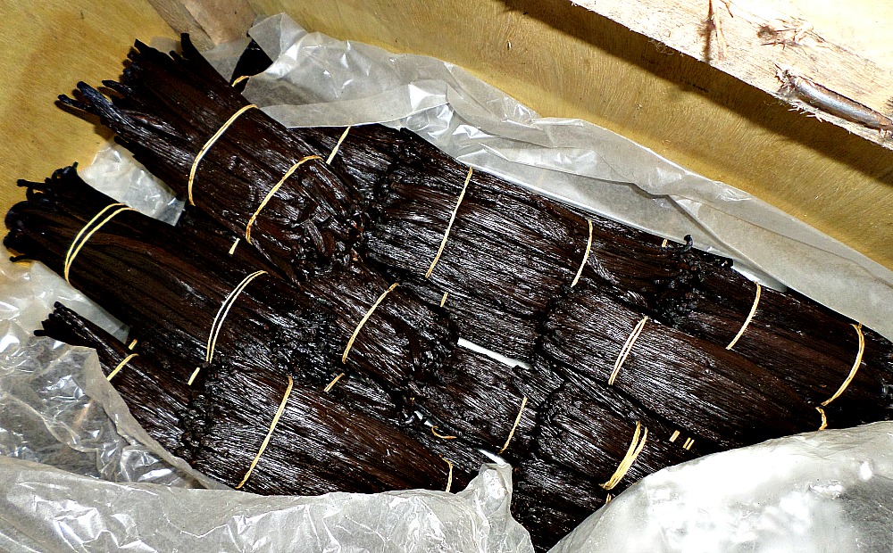Cured Uganda Vanilla Beans in Conditioning Box wrapped in Wax Paper. We have found Wax Paper a Better alternative to Aluminum Foil paper.