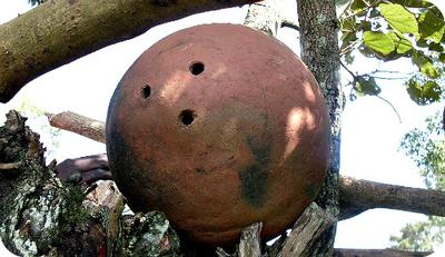 Clay Beehive in Uganda 