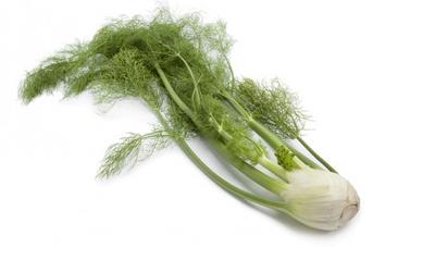 Fennel Bulbs growing in Uganda 