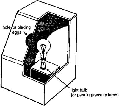 Simple Egg Candling Machine 