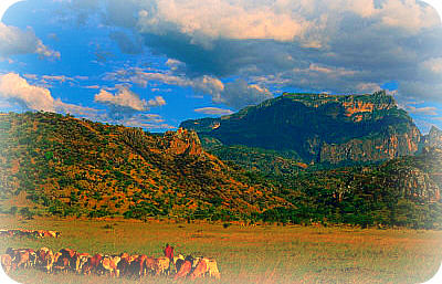 Kidepo Valley National Park Africa Uganda