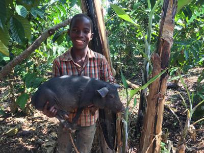 Abey receiving his piglet from Buena Charity Services in Uganda 