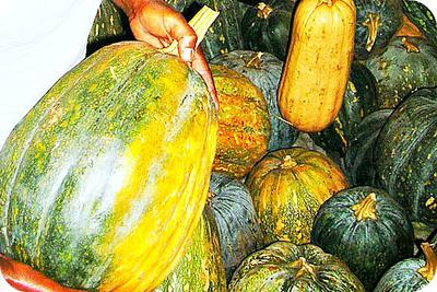 Pumpkins in Market , Africa