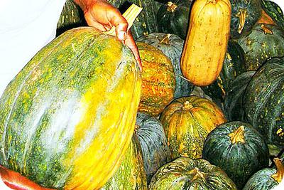 Pumpkins in Market , Africa