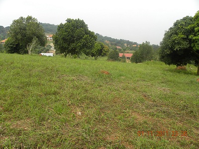 50 by 100 plot Bwebajja Uganda view 2