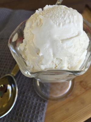 Sugar Free Vanilla Ice Cream