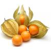 Cape Gooseberries in Uganda 