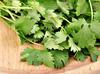 Fresh Parsley Leaves 