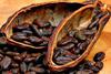 Dry Cocoa Beans in Dry Pods Uganda