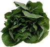 Spinach Leaves in Uganda 