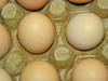 Kuroiler Eggs in Uganda 