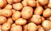 Clean Irish Potatoes 