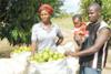 Fruit Farmers in Uganda