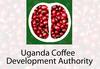 Uganda Coffee