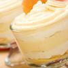 Vanilla Custard Pudding