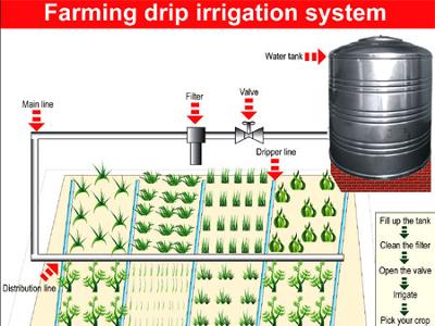 Uganda Drip Irrigation Tech from Isreal