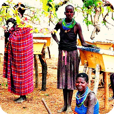 Honey Bee Keepers in Karamoja, Northern Uganda 