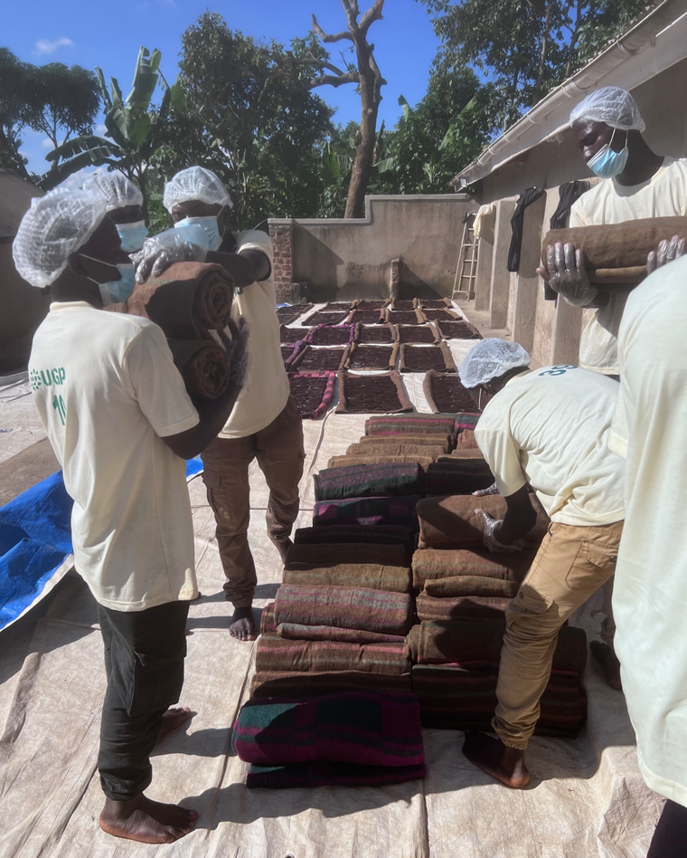 Curing Vanilla Beans in Rolls of Blankets UGP Nsangi 