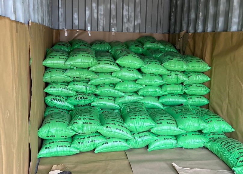 Loading Sesame Seeds in Container for Export