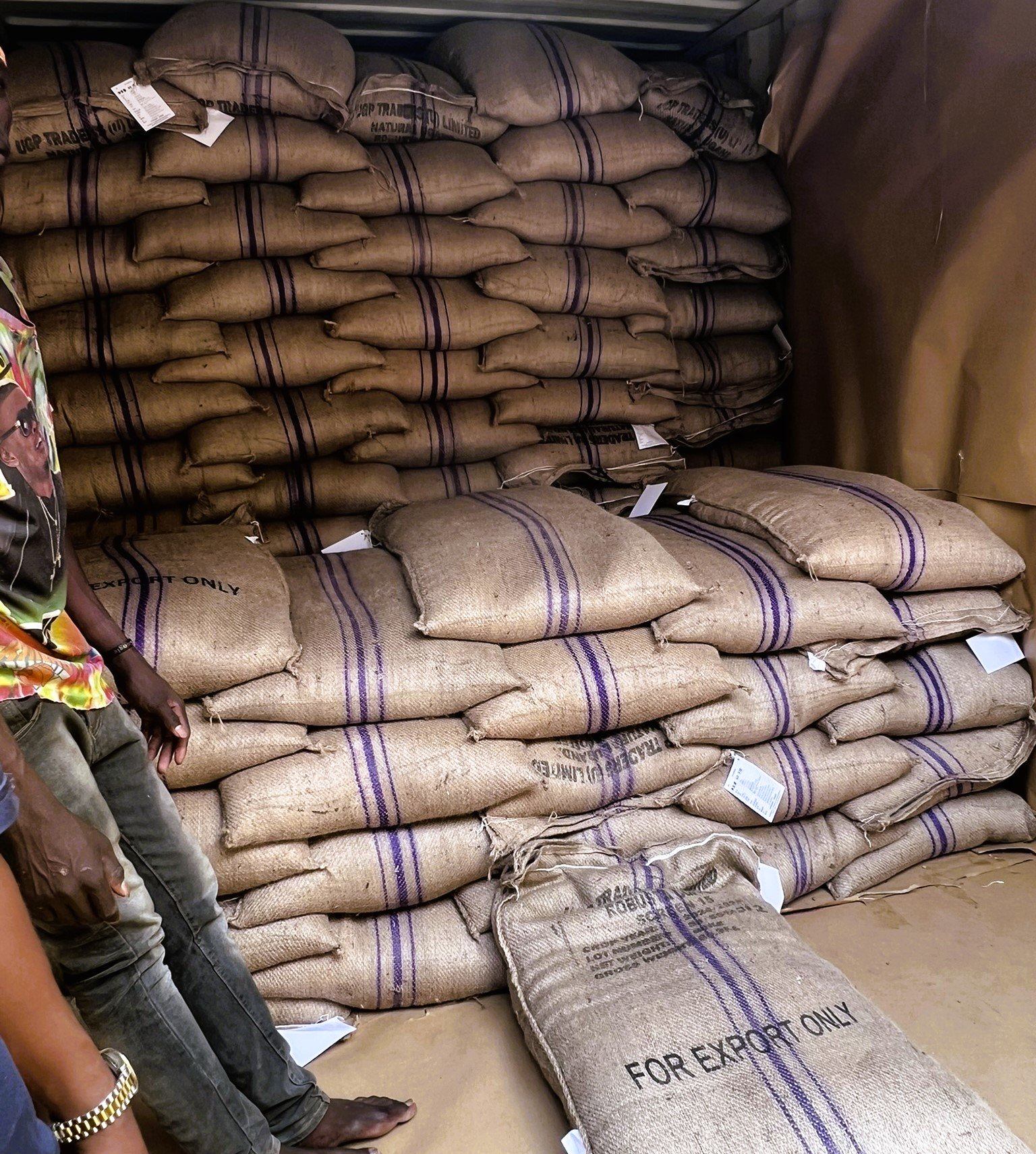 Uganda Coffee Loading into Container 