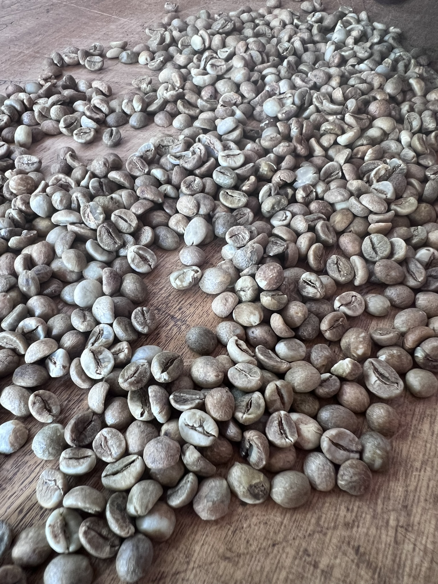 Uganda Coffee Beans on Table