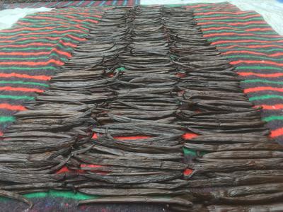 Bourbon Vanilla Beans 