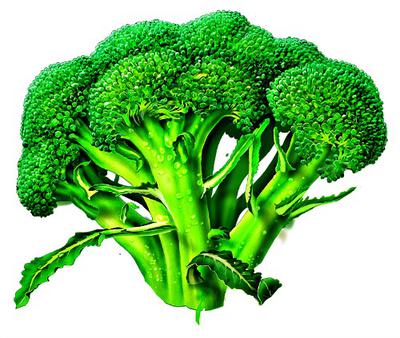 Broccoli  Veges in Uganda 