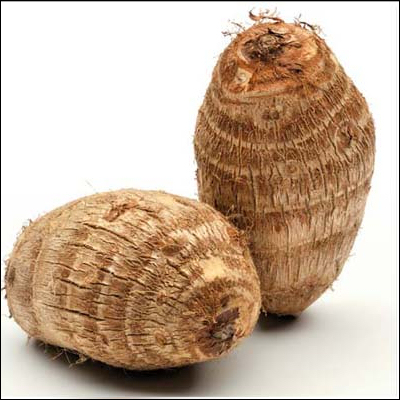 Cocoyams in Uganda 