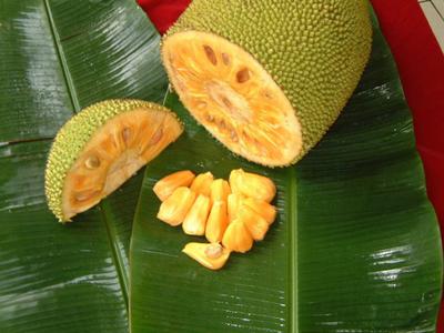 Jackfruit Cut in Slices Uganda 