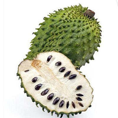 Soursop Fruit