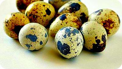 Quail Eggs in Uganda, Africa