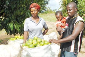 Fruit Farmers in Uganda